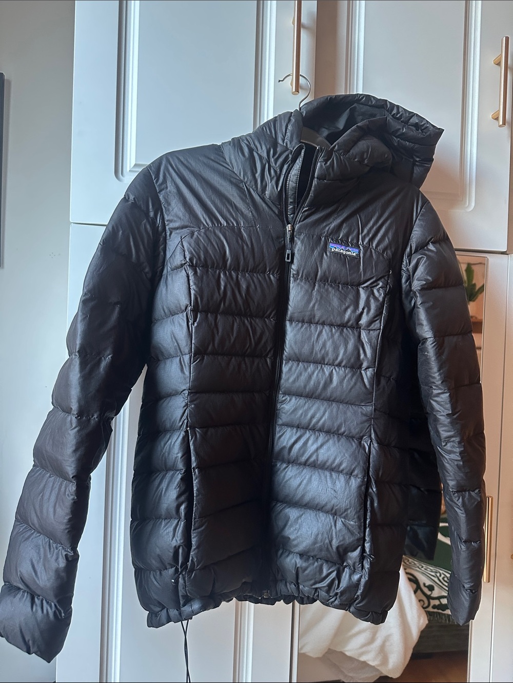Patagonia Black Hooded Down Puffer Jacket